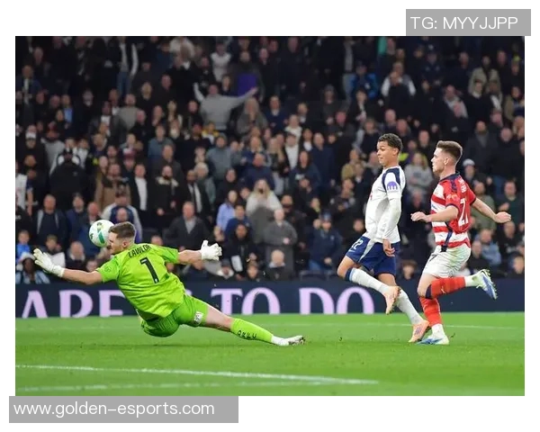 热刺帕利尼亚未来不确定留队可能性低于预期分析