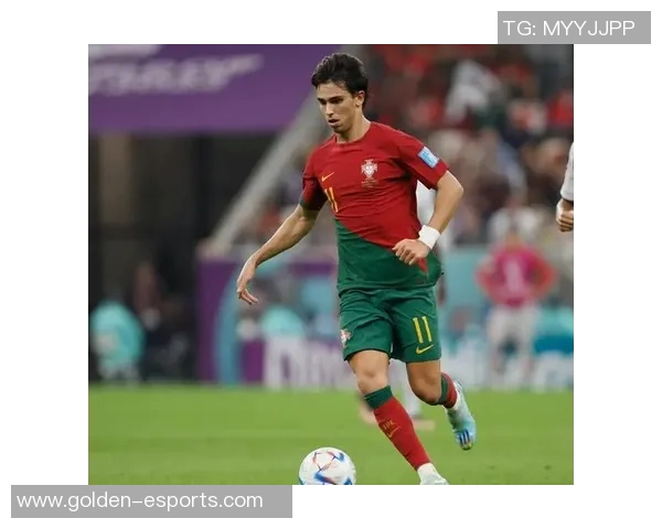 坎塞洛渴望迅速离开新月英超与葡萄牙多家豪门积极追逐